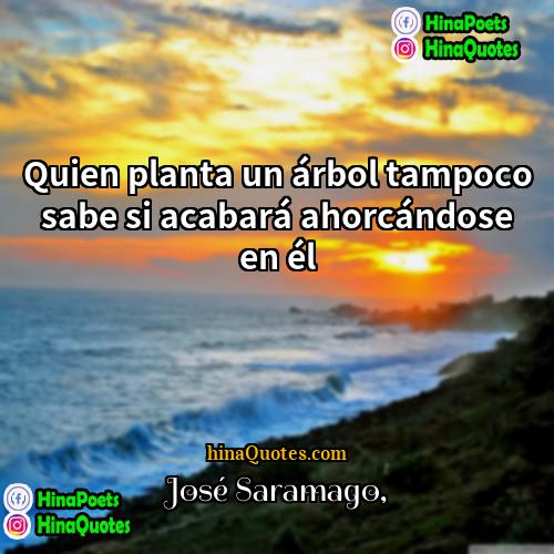 José Saramago Quotes | Quien planta un árbol tampoco sabe si